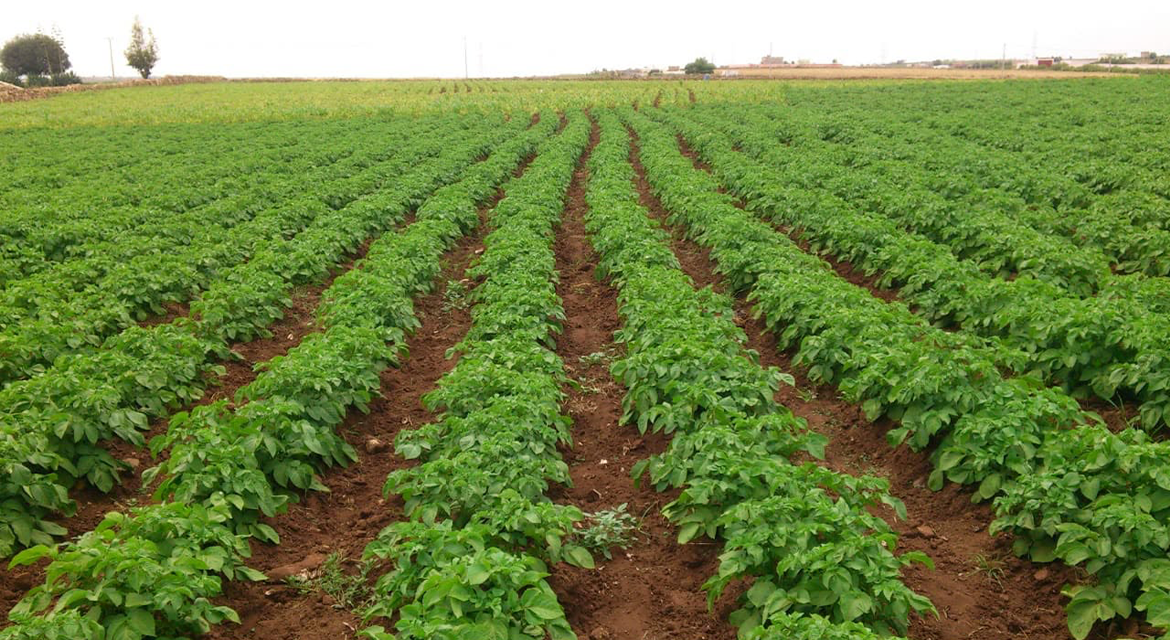Photo de la propriété 7