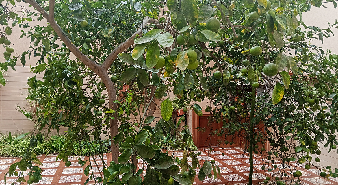 Photo de la propriété 5
